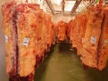 carbuga-carne-buey-gallega