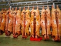 carbuga-carne-buey-gallega